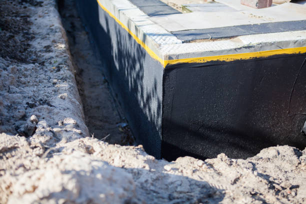 Professional Wet Basement Repair technician working in Piney Flats, TN