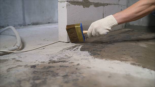 24/7 Emergency Wet Basement Repair experts in Piney Flats, TN